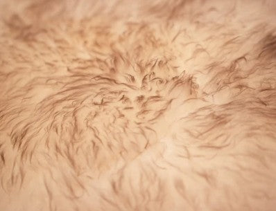NEW WOOL SHEEPSKIN extra fluffy