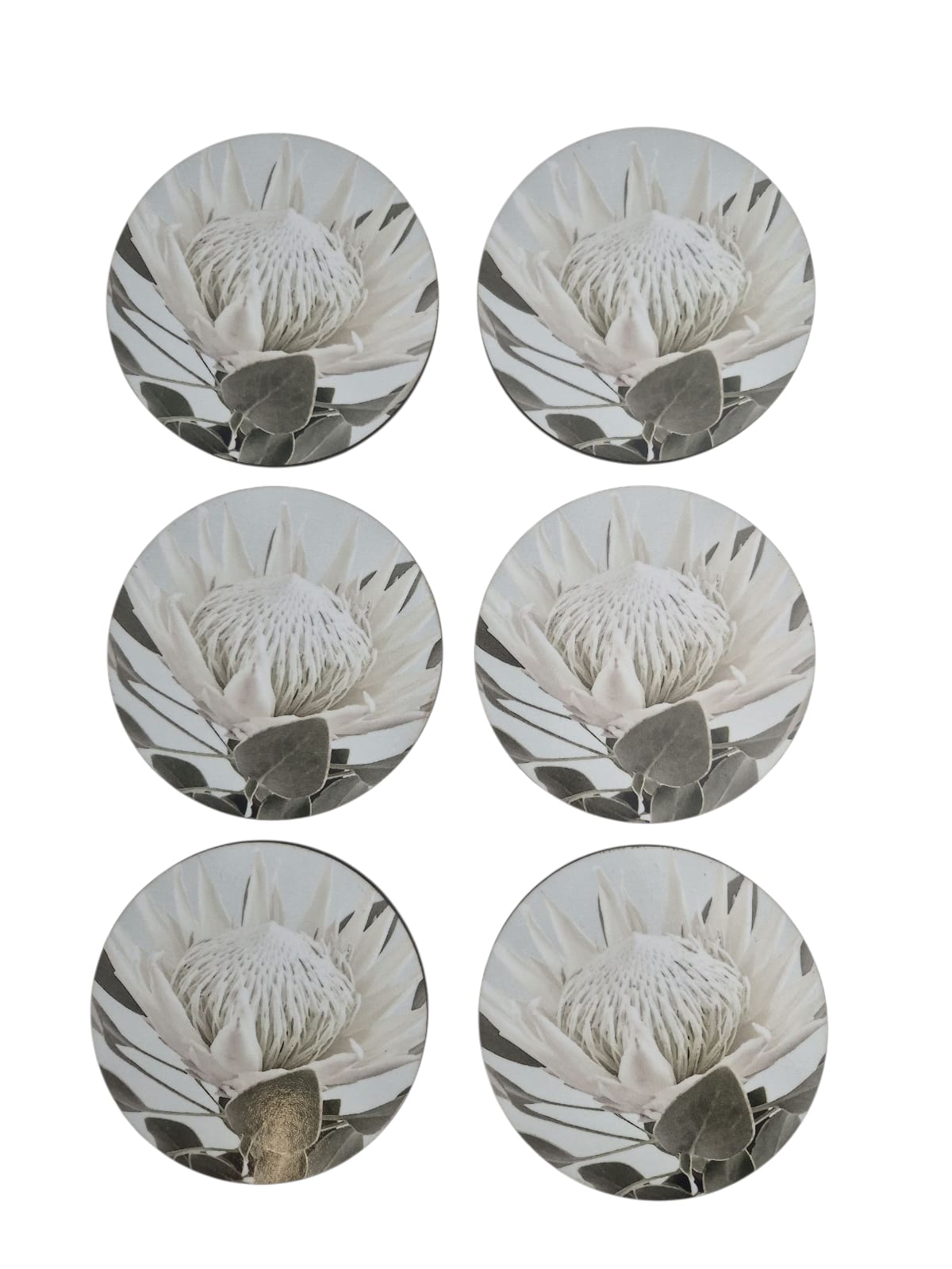 COASTER SET OF 6 ASSORTED