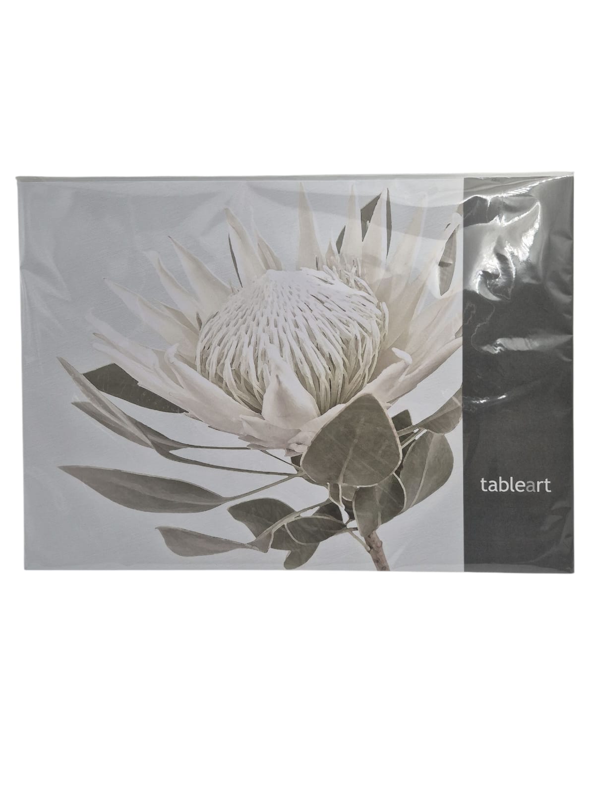 DISPOSABLE PAPER PLACEMATS