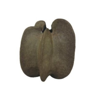 CERAMIC WALNUT POD