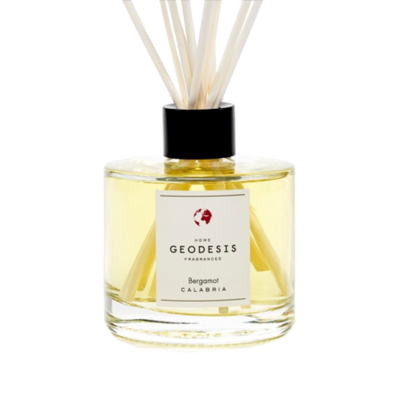 Geo Reed Diffuser Geodesis Reed Diffuser - Shop Online | NAP Living